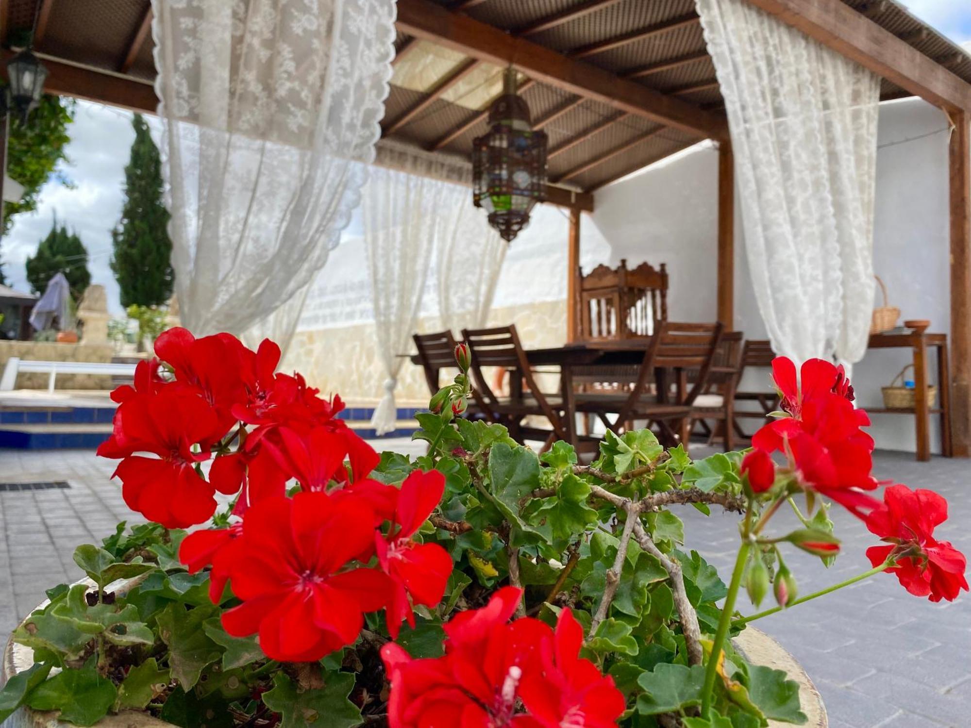 Authentic Canary Style Villa With Private Pool And Garden- Casa Juan Vera Granadilla De Abona Dış mekan fotoğraf